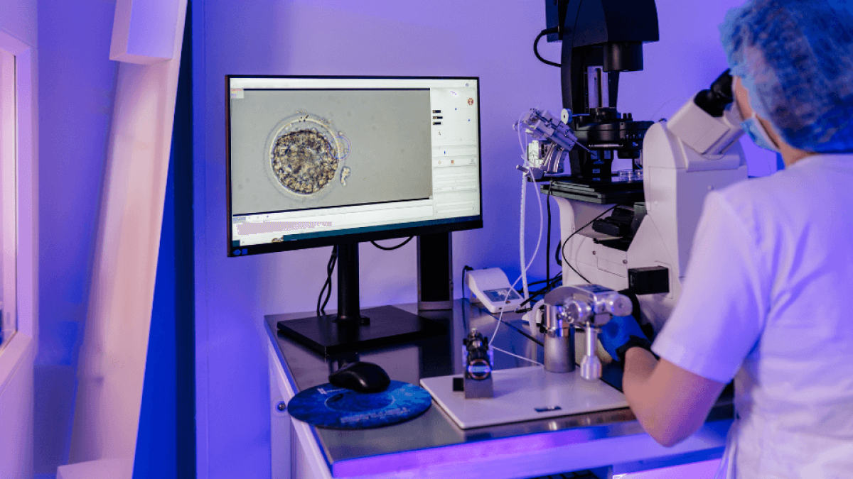 Assisted hatching com laser