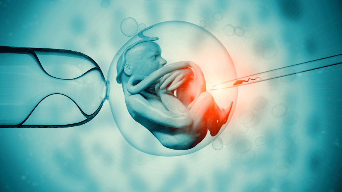Fertilização in vitro: como funciona a fiv